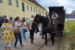 Auf Spritztour mit der Pferdeeisenbahn