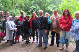 Wandern durch die Steinhofgründe